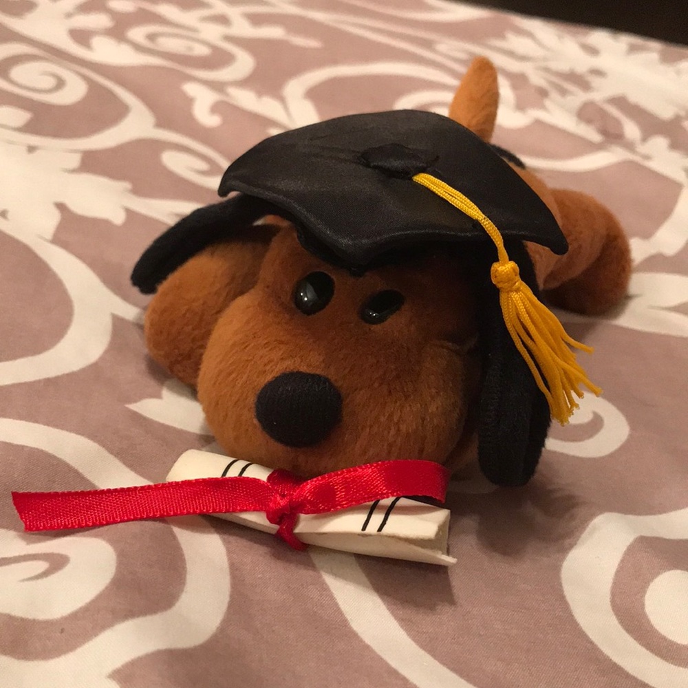 🎁 5 for $20 Graduation Dog Plush